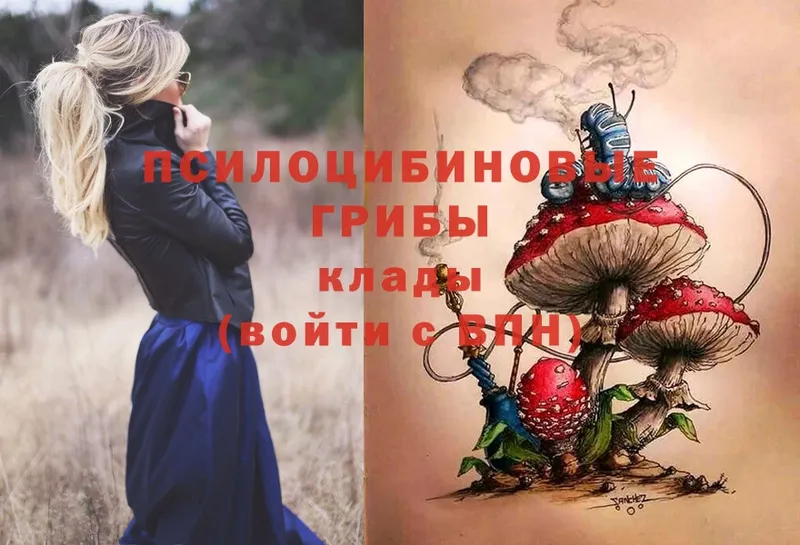 Галлюциногенные грибы Magic Shrooms  гидра ссылка  Барыш 